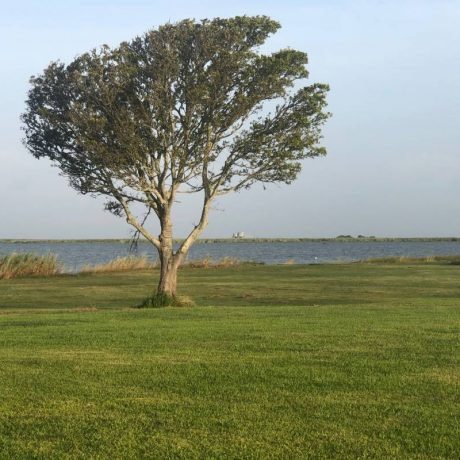 Bay view